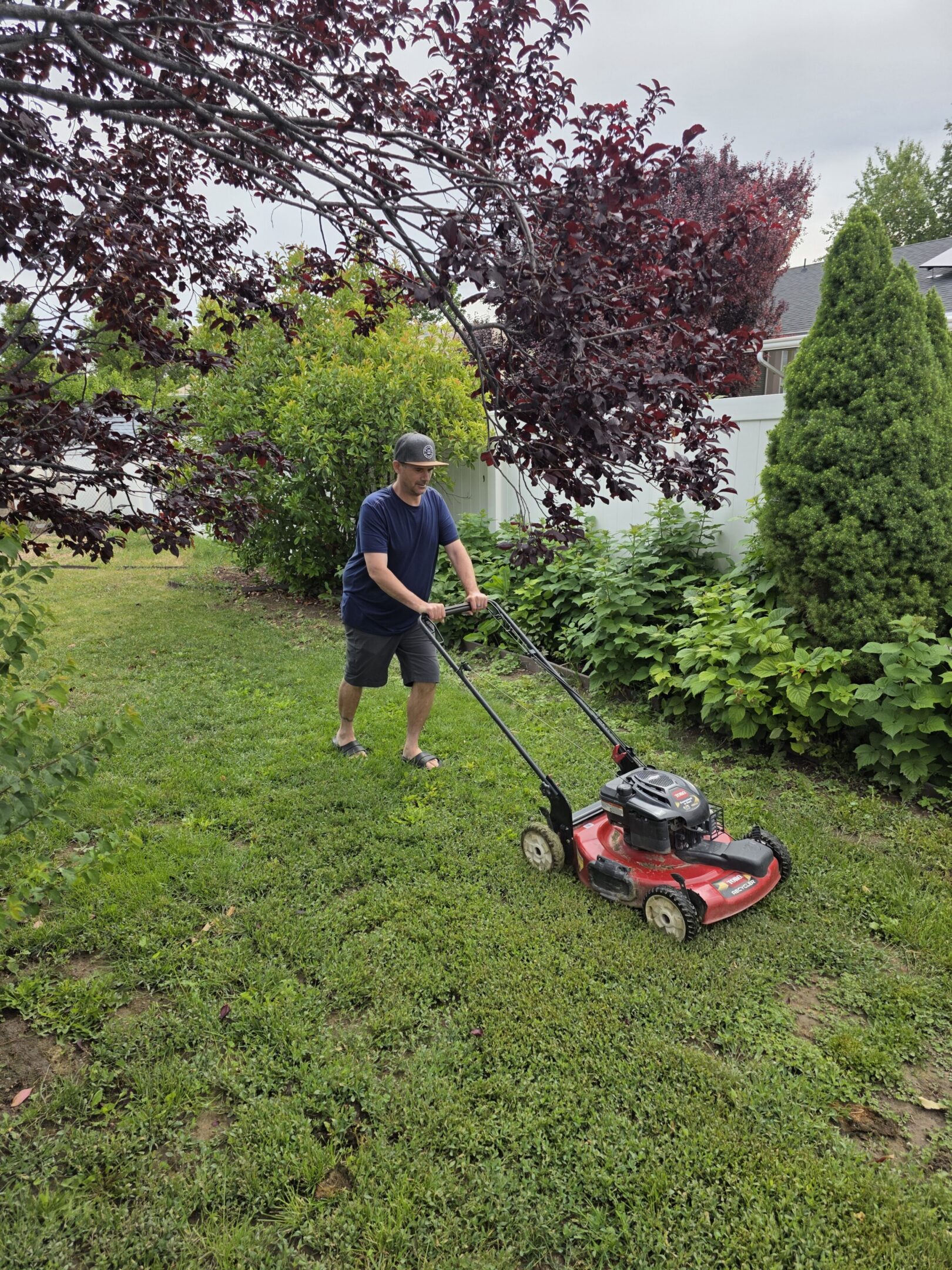 Man pushing red lawnmower on backyard grass