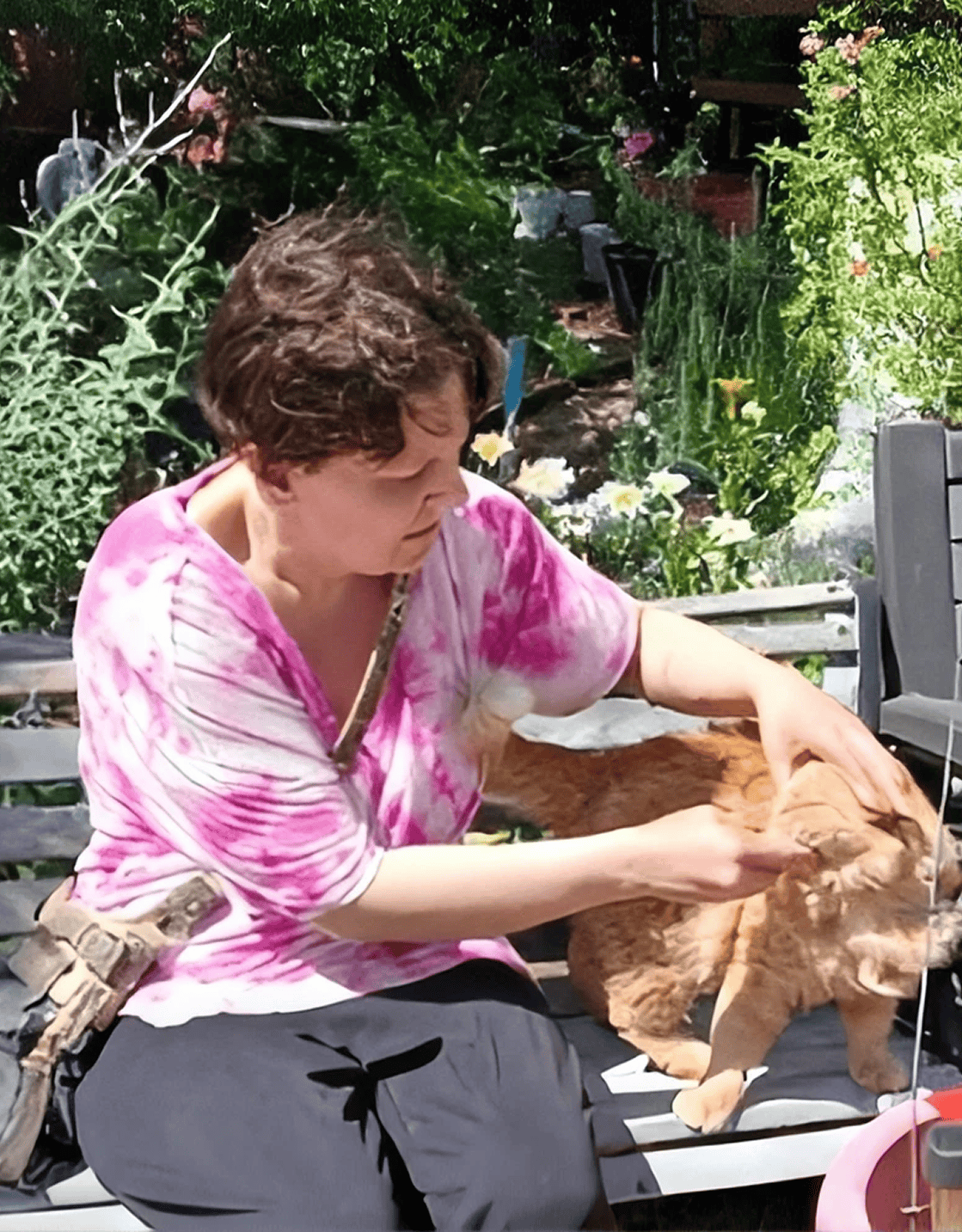 Person petting orange cat on garden bench